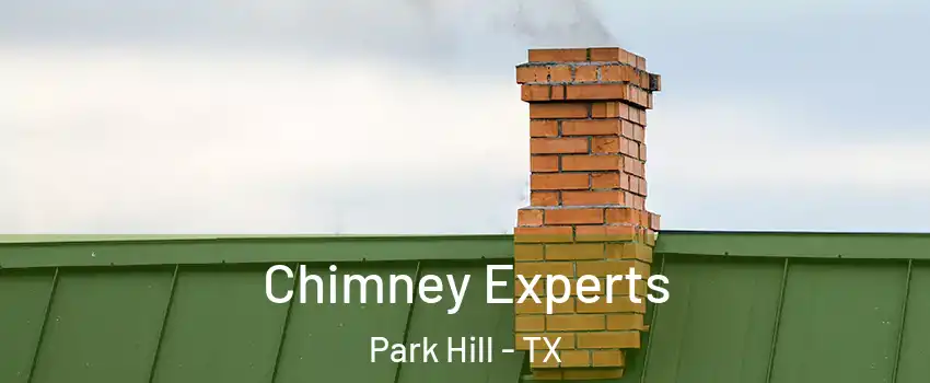 Chimney Experts Park Hill - TX