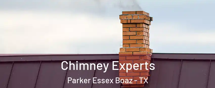 Chimney Experts Parker Essex Boaz - TX