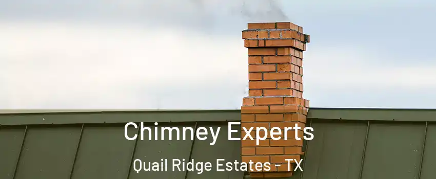 Chimney Experts Quail Ridge Estates - TX