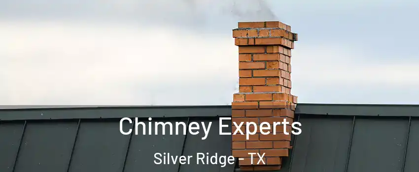 Chimney Experts Silver Ridge - TX