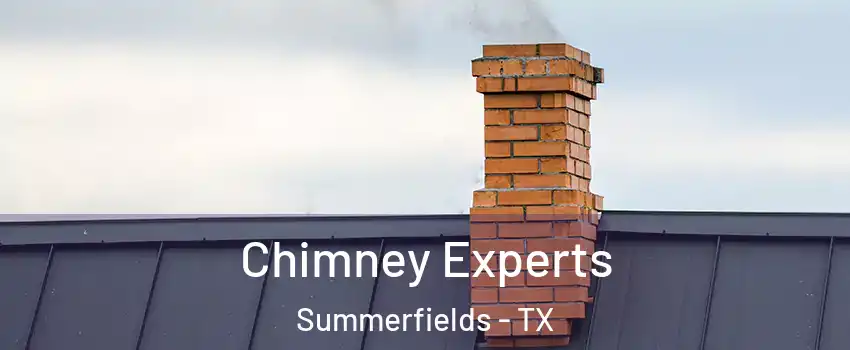 Chimney Experts Summerfields - TX
