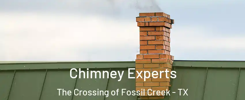 Chimney Experts The Crossing of Fossil Creek - TX