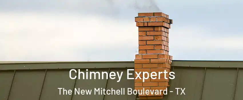 Chimney Experts The New Mitchell Boulevard - TX