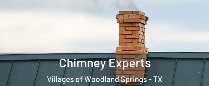 Chimney Experts Villages of Woodland Springs - TX