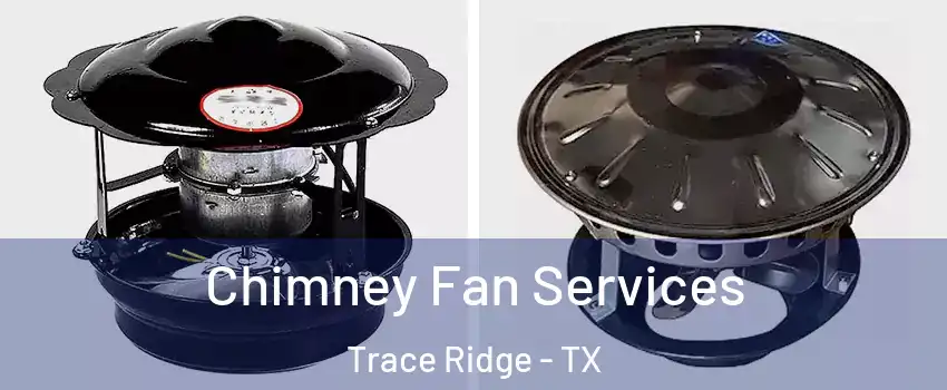 Chimney Fan Services Trace Ridge - TX