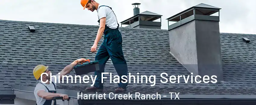 Chimney Flashing Services Harriet Creek Ranch - TX