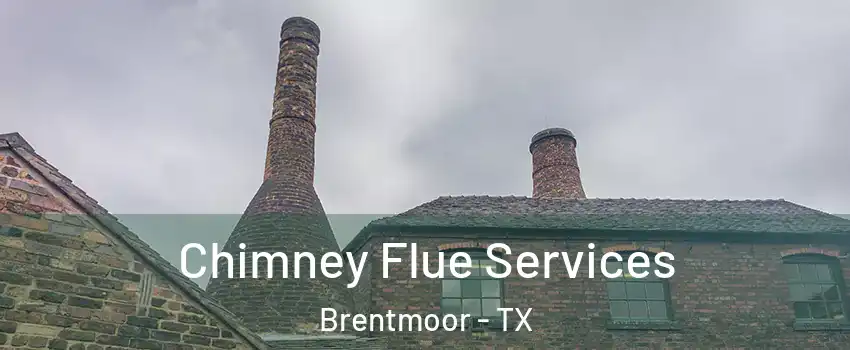 Chimney Flue Services Brentmoor - TX