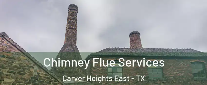 Chimney Flue Services Carver Heights East - TX