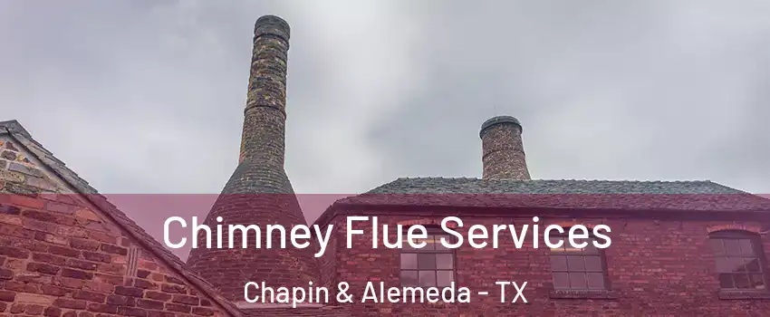 Chimney Flue Services Chapin & Alemeda - TX