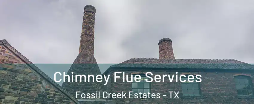 Chimney Flue Services Fossil Creek Estates - TX