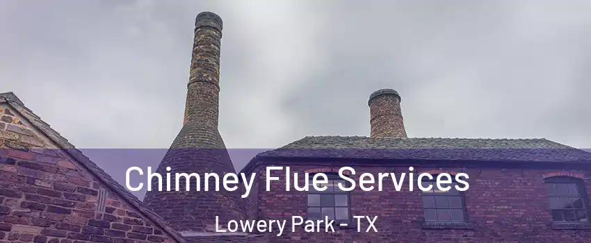 Chimney Flue Services Lowery Park - TX
