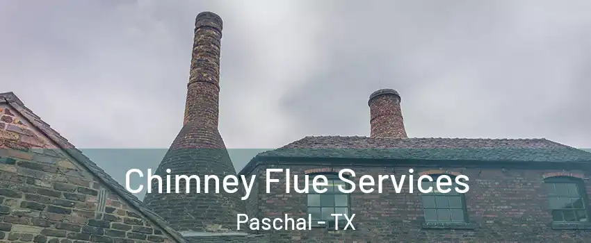 Chimney Flue Services Paschal - TX