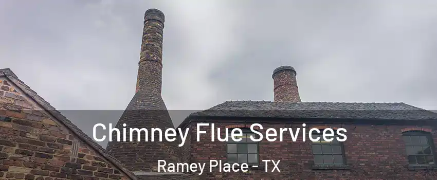 Chimney Flue Services Ramey Place - TX