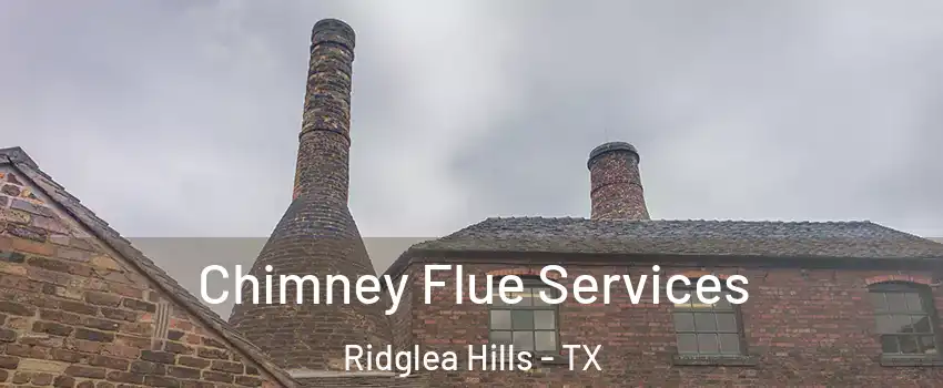 Chimney Flue Services Ridglea Hills - TX