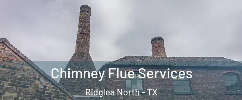 Chimney Flue Services Ridglea North - TX