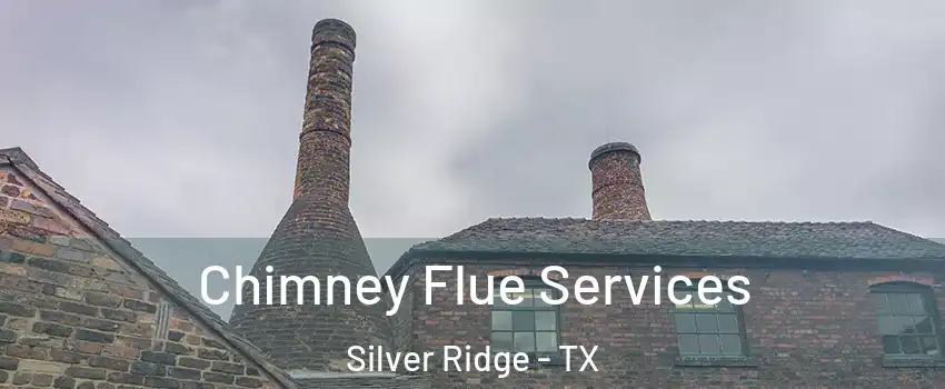 Chimney Flue Services Silver Ridge - TX