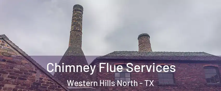 Chimney Flue Services Western Hills North - TX
