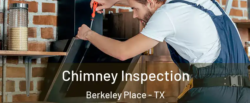 Chimney Inspection Berkeley Place - TX