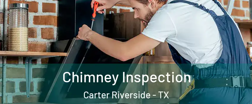 Chimney Inspection Carter Riverside - TX