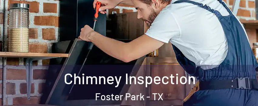 Chimney Inspection Foster Park - TX