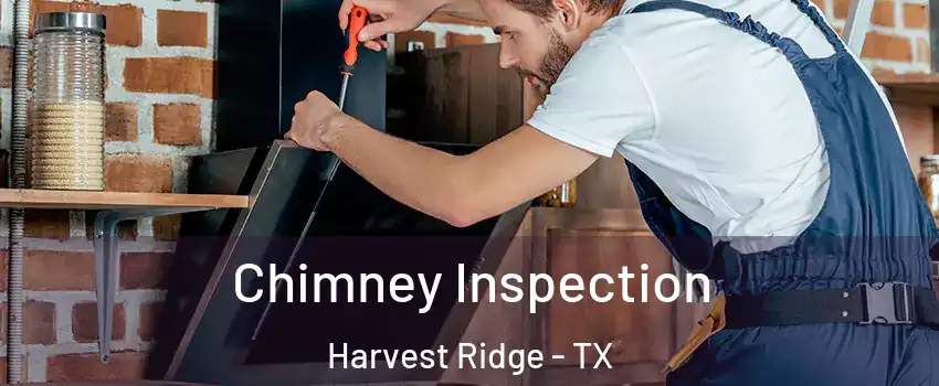 Chimney Inspection Harvest Ridge - TX