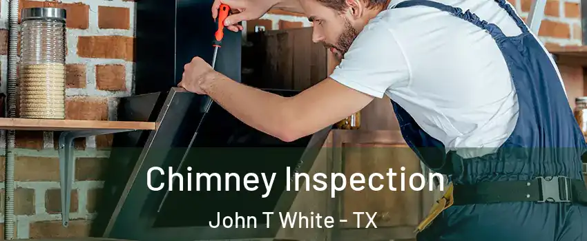 Chimney Inspection John T White - TX