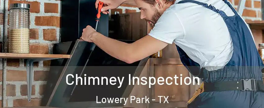 Chimney Inspection Lowery Park - TX