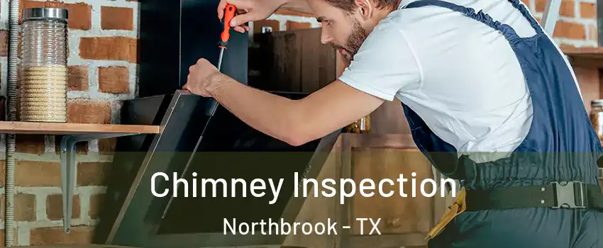 Chimney Inspection Northbrook - TX