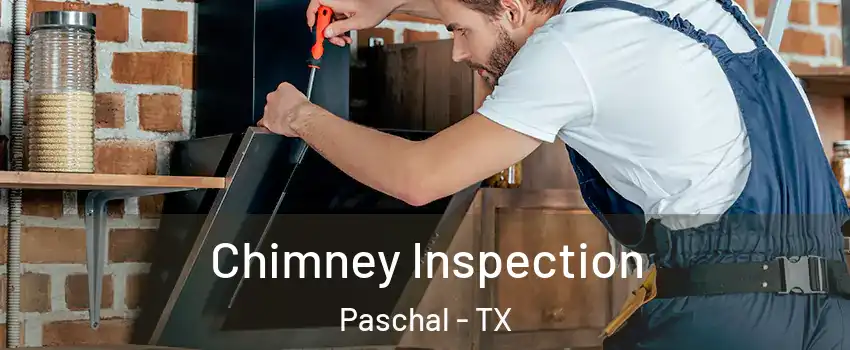 Chimney Inspection Paschal - TX