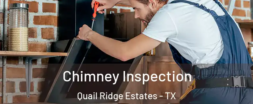 Chimney Inspection Quail Ridge Estates - TX