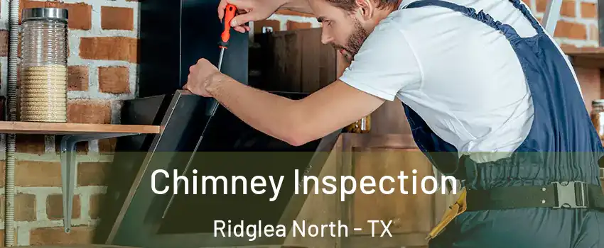 Chimney Inspection Ridglea North - TX