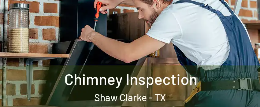 Chimney Inspection Shaw Clarke - TX