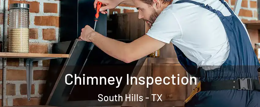 Chimney Inspection South Hills - TX