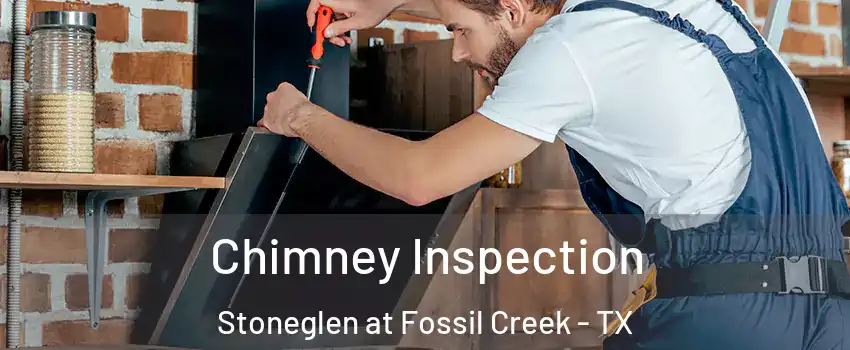 Chimney Inspection Stoneglen at Fossil Creek - TX