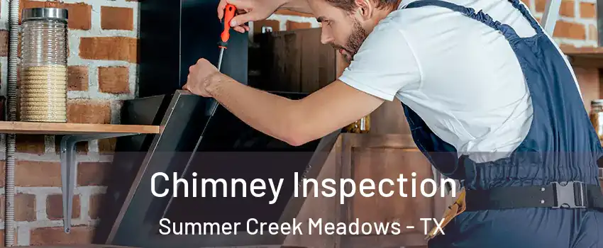 Chimney Inspection Summer Creek Meadows - TX