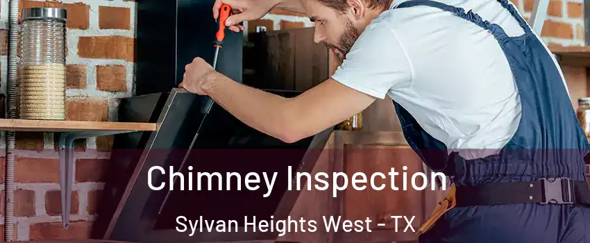 Chimney Inspection Sylvan Heights West - TX