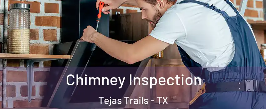 Chimney Inspection Tejas Trails - TX