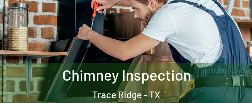Chimney Inspection Trace Ridge - TX