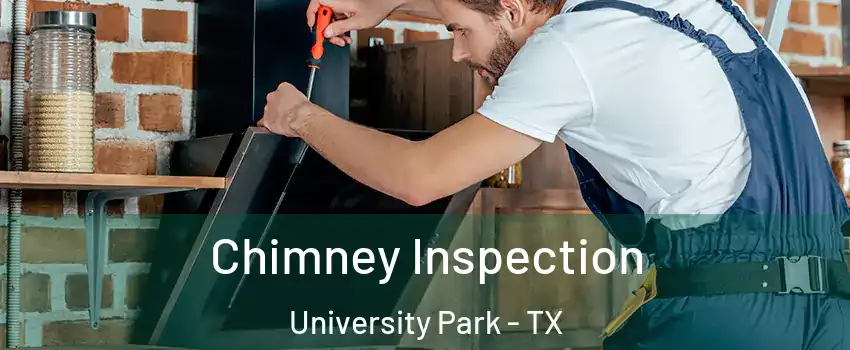 Chimney Inspection University Park - TX