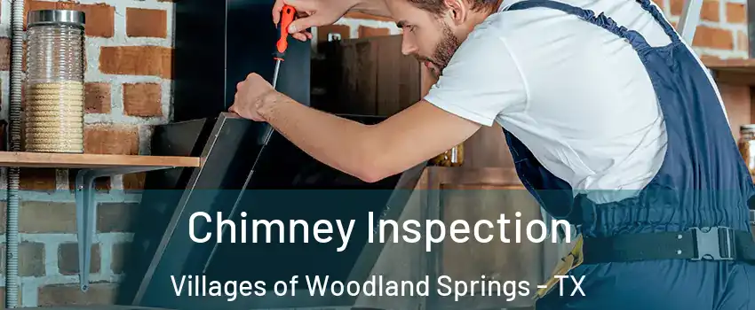 Chimney Inspection Villages of Woodland Springs - TX
