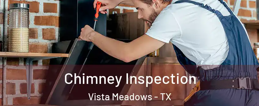 Chimney Inspection Vista Meadows - TX