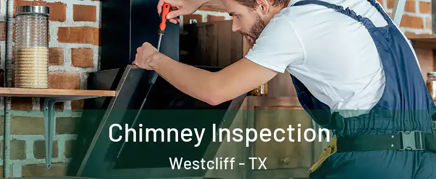 Chimney Inspection Westcliff - TX