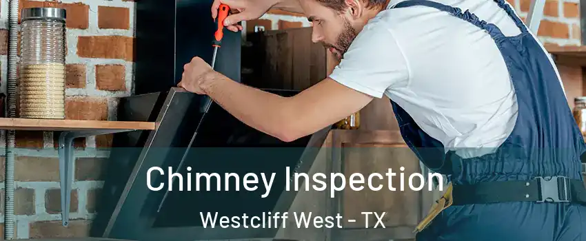 Chimney Inspection Westcliff West - TX