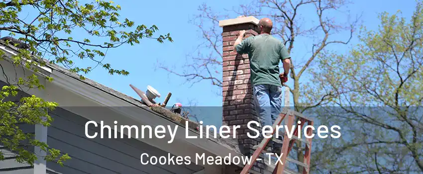 Chimney Liner Services Cookes Meadow - TX