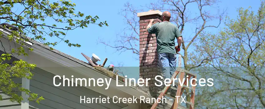 Chimney Liner Services Harriet Creek Ranch - TX