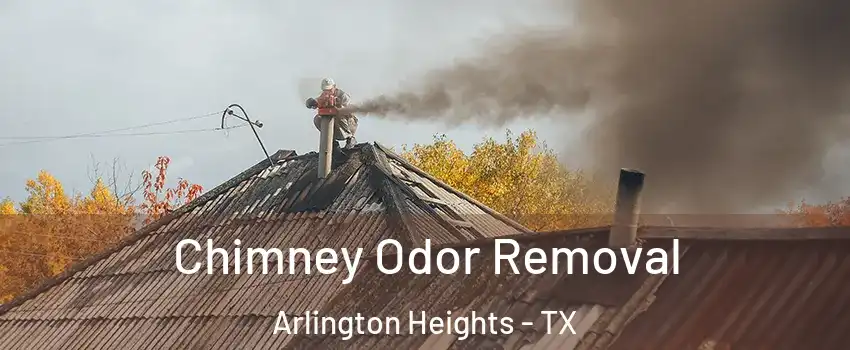 Chimney Odor Removal Arlington Heights - TX