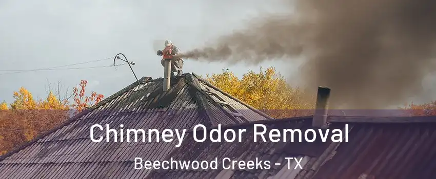Chimney Odor Removal Beechwood Creeks - TX
