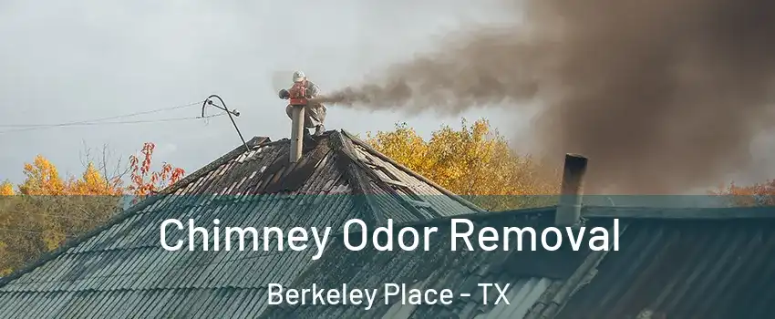 Chimney Odor Removal Berkeley Place - TX