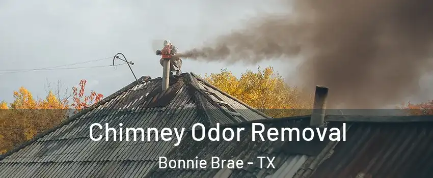 Chimney Odor Removal Bonnie Brae - TX