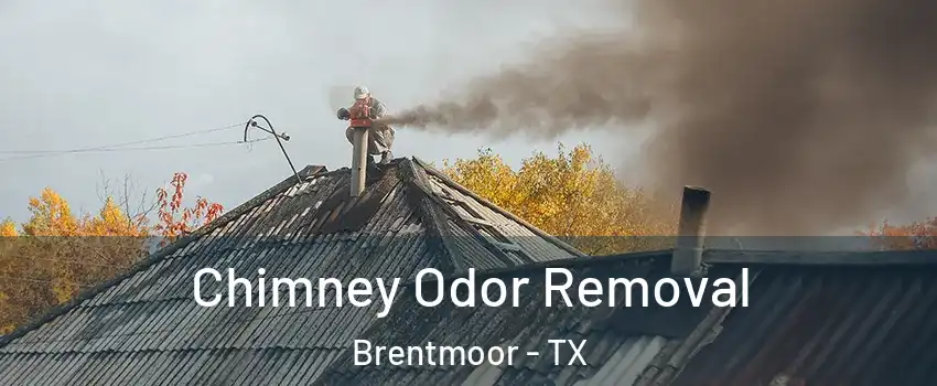 Chimney Odor Removal Brentmoor - TX